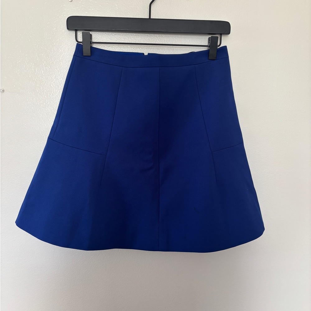 Elegant Blue Women's Skirt